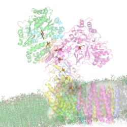 Description de cette image, également commentée ci-après
