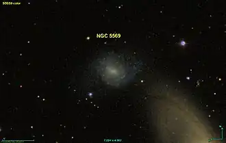 Image illustrative de l’article NGC 5569