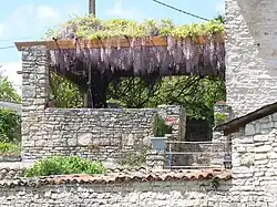 Terrasse fleurie et briquette calcaire.