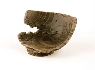 Image illustrative de l’article Coupe de Nanteos