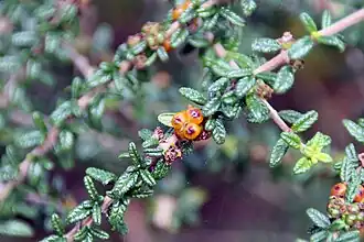 Description de cette image, également commentée ci-après
