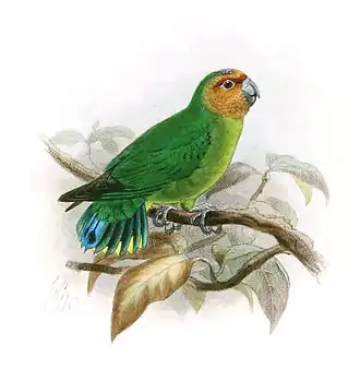 Description de cette image, également commentée ci-après