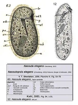 Description de cette image, également commentée ci-après