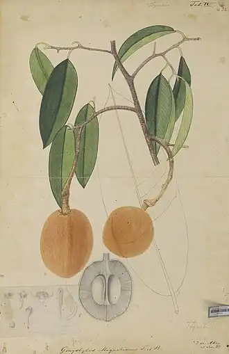 Description de cette image, également commentée ci-après