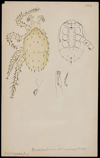 Description de cette image, également commentée ci-après