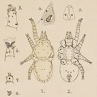 Description de cette image, également commentée ci-après