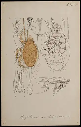 Description de cette image, également commentée ci-après