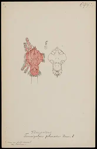 Description de cette image, également commentée ci-après