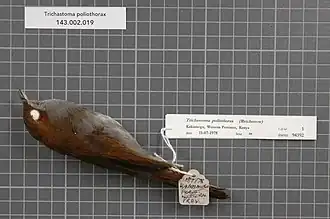 Description de cette image, également commentée ci-après