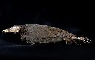 Description de cette image, également commentée ci-après