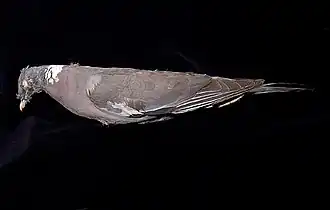 Description de cette image, également commentée ci-après