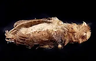 Description de cette image, également commentée ci-après