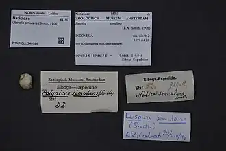 Description de cette image, également commentée ci-après