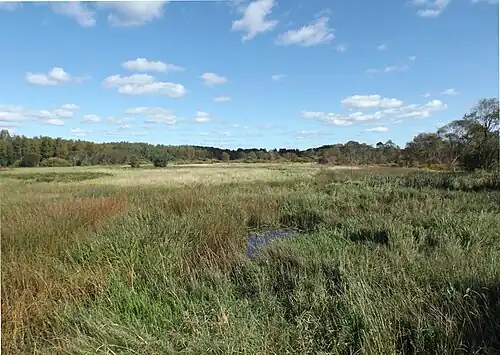 Vue de la route Kõo-Kolga-Jaani.
