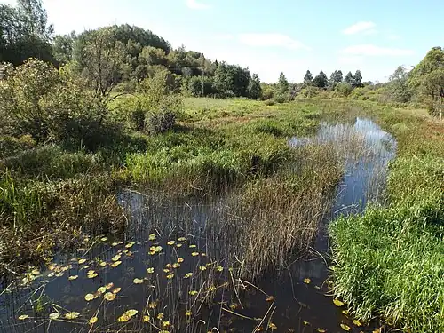 Vue de la route Kõo-Kolga-Jaani.
