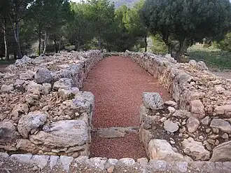 Image illustrative de l’article Naviforme Alemany