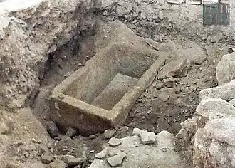 Image illustrative de l’article Celia peuceta