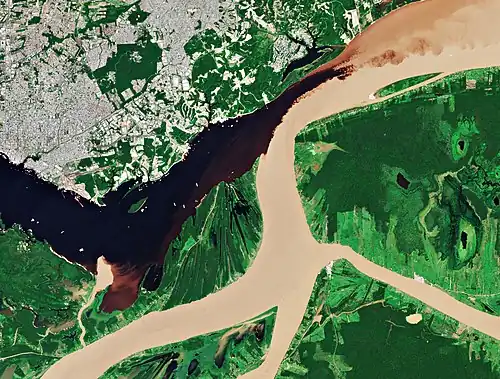 Vue satellitaire (Copernicus 7/02/2018): largeur un peu plus grande du Rio Negro mais les eaux du Solimões (en bas) finissent par « prendre le dessus ».