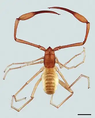 Description de cette image, également commentée ci-après