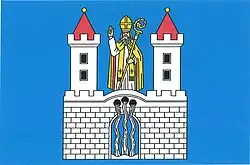 Drapeau de Nepomyšl