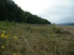 Larris à Neuville-Coppegueule.