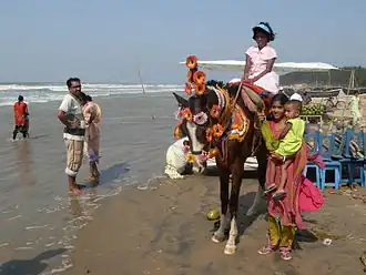 Image illustrative de l’article Cheval en Inde