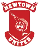 Logo du Newtown United FC