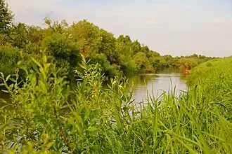 Molodiojny (raïon de Parfenievo)