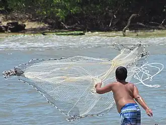 Tacarigua de La Laguna (paroisse civile)