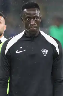 Image illustrative de l’article Ibrahima Niane