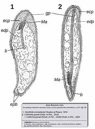 Description de cette image, également commentée ci-après
