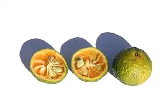 Description de cette image, également commentée ci-après