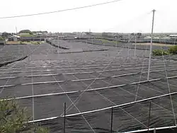 Bâches sombres avec un village en arrière-plan.