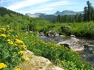La Bouïba Inférieure avec des tanaisies communes en premier-plan.