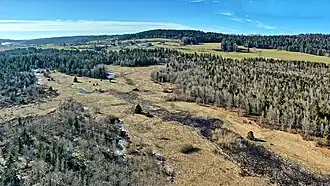 Le ruisseau en amont de l'étang des Belles Seignes.