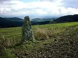 Image illustrative de l’article Menhir de Nöggenschwiel
