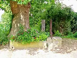 Ancienne fontaine, rue de Paris.