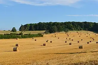 La Corvée du Village.