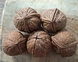 Noix à 3 et 4 coques.