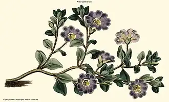 Description de cette image, également commentée ci-après