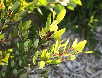 Description de cette image, également commentée ci-après