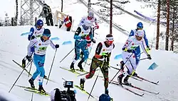 Groupe de skieurs de fonds de profils, en style classique.