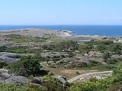 Végétation sur l'île de Nordkoster