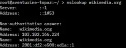 Description de l'image Nslookup screenshot.png.