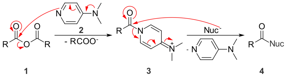 DMAP activant les anhydrides pour une substitution nucléophile en créant un meilleur nucléofuge.