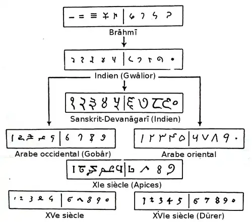 L'évolution des chiffres indiens puis arabes jusqu'à leur forme contemporaine.