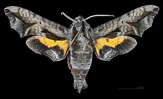 Description de cette image, également commentée ci-après