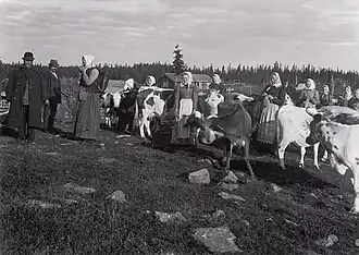 Image illustrative de l’article Estive