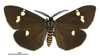 Description de cette image, également commentée ci-après