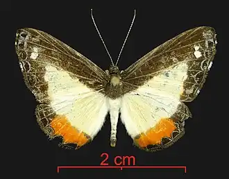 Description de cette image, également commentée ci-après